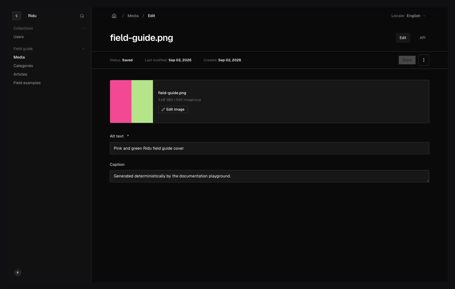 A Ridu Media document editor showing the asset preview, detected file metadata, authored alt text, image variants, and document actions.